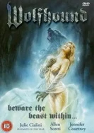 毛多水多性视频