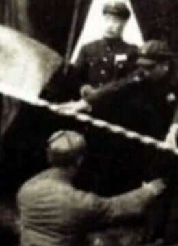 毛片在线看不卡顿